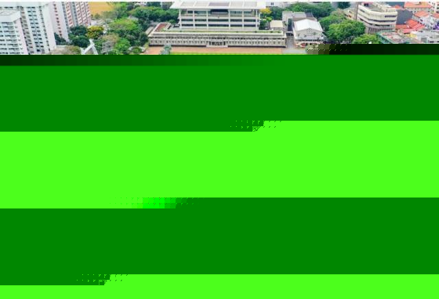 记者:中新战场地原来是人工草,现在已更换为天然草