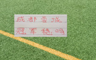 联赛还剩6轮！成都蓉城有可能在没遇到卫冕冠军海港前 提前夺冠吗