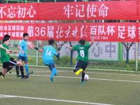 成都蓉城VS上海申花直播_成都蓉城VS上海申花WiFi与移动数据双优化_成都蓉城VS上海申花直播省流选项